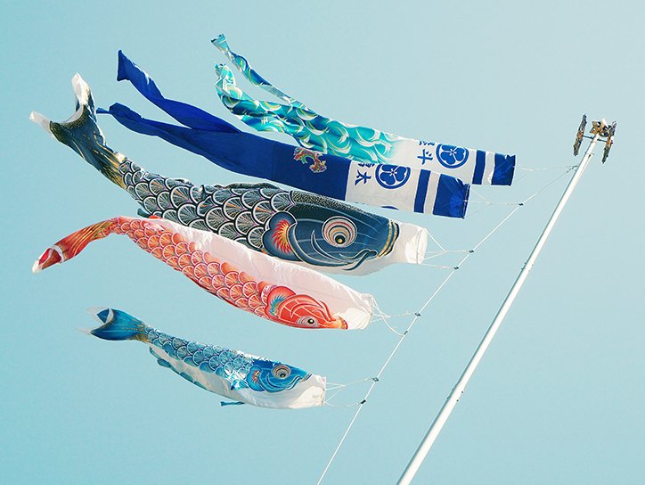 Fish
