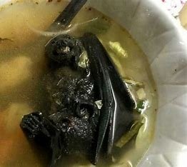 Bat Soup – Palau’s Winged Delicacy
