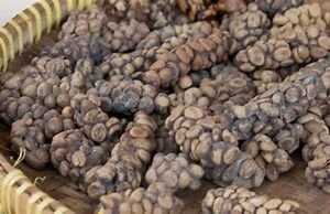 Kopi Luwak – Indonesia’s Luxury Poop Coffee