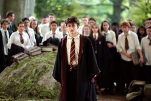 What position does Harry play in Quidditch?