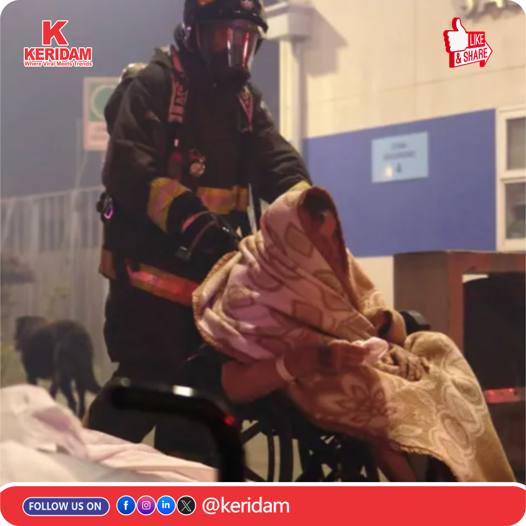 Chile wildfires force evacuations as state of emergency is declared